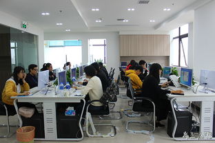 聚貴盈電子商務 做投資與資產管理業(yè)行業(yè)內佼佼者